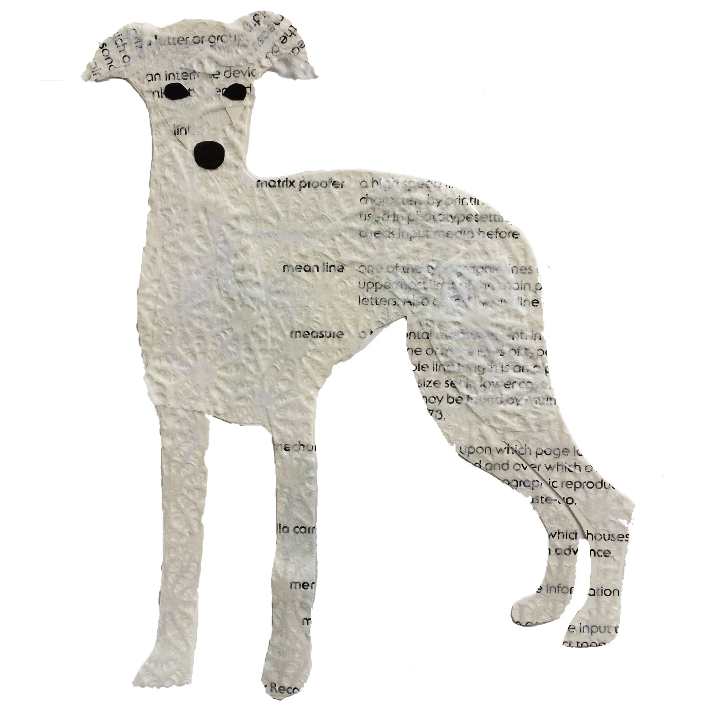 whippet.jpg