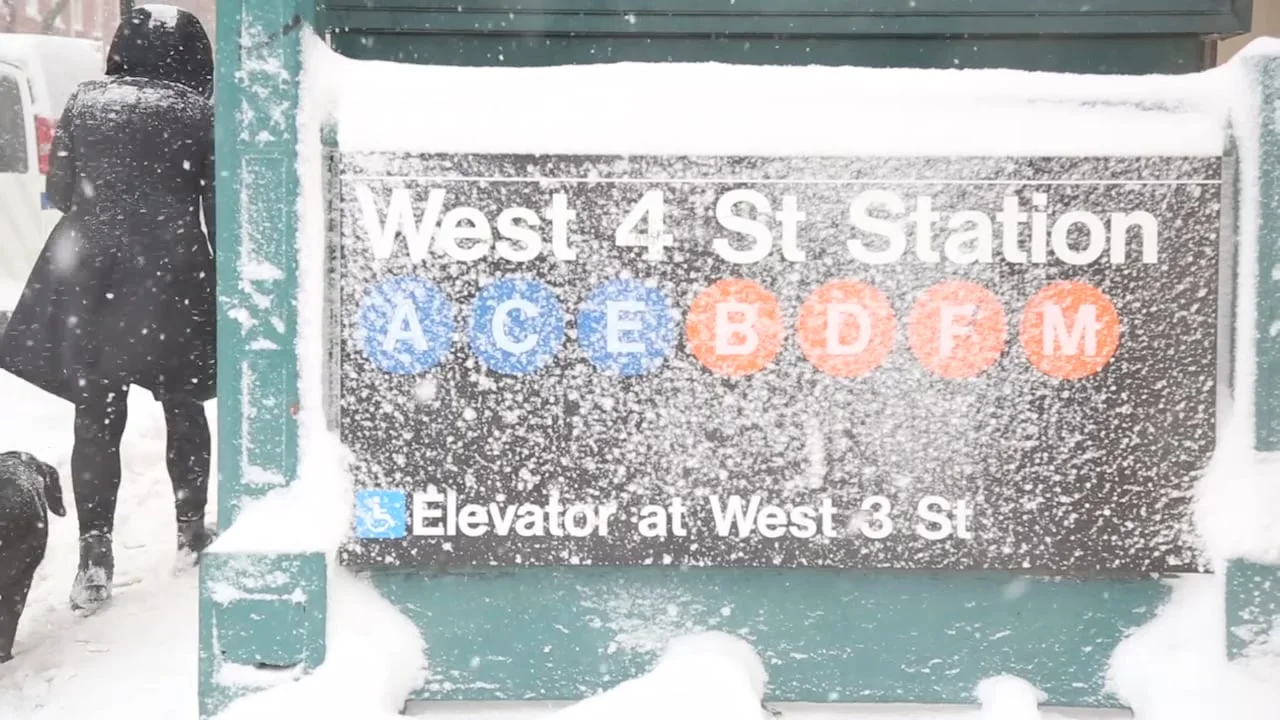 blizzard on my block 