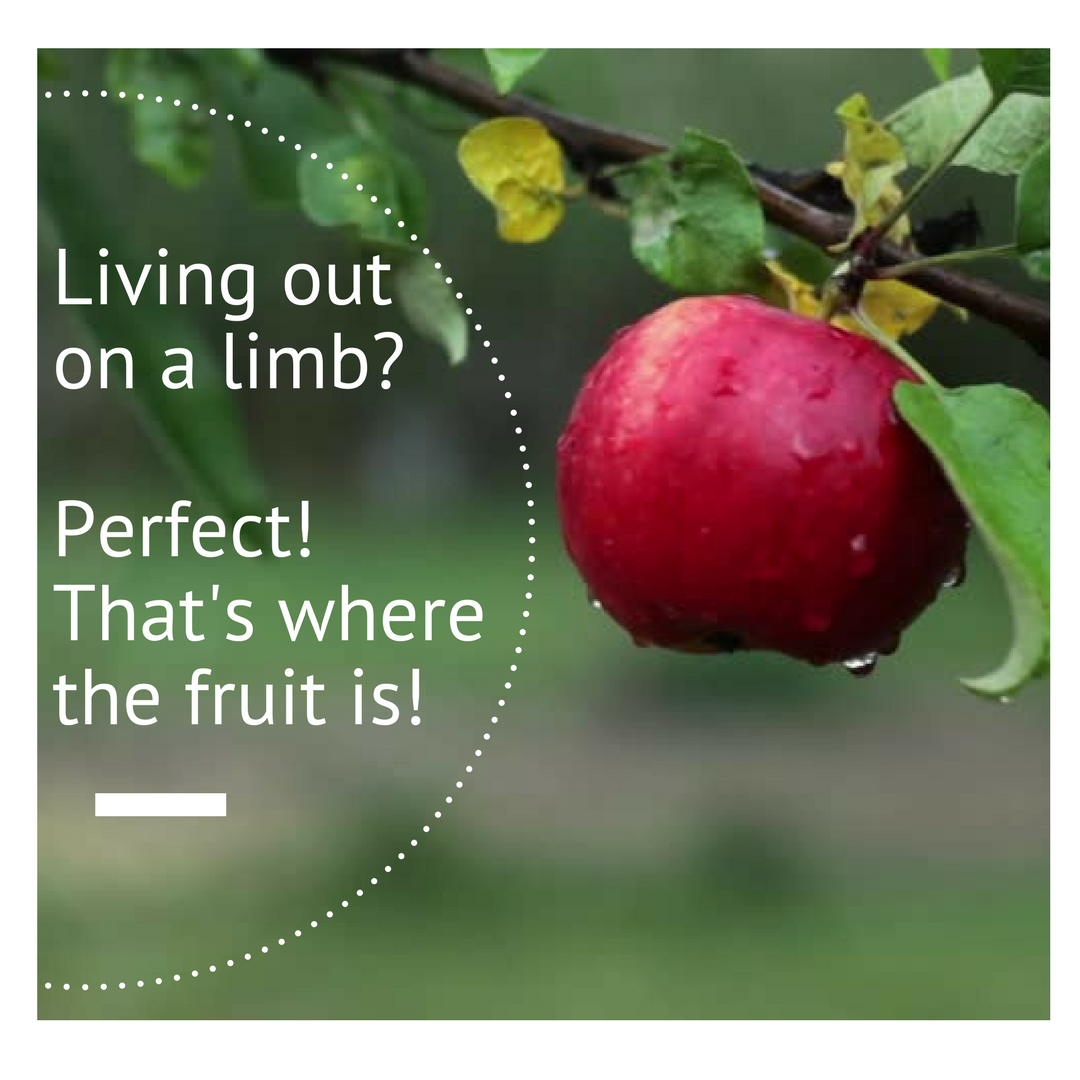 Out on a limb.png
