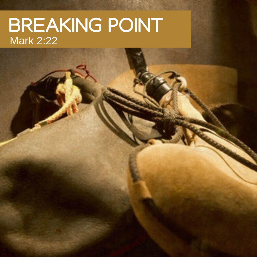 Breaking Point by Natalie Fortunato — Faith Fellowship Ministries of