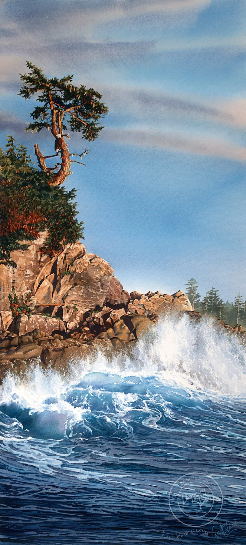 Lookout-Islet.st.jpeg