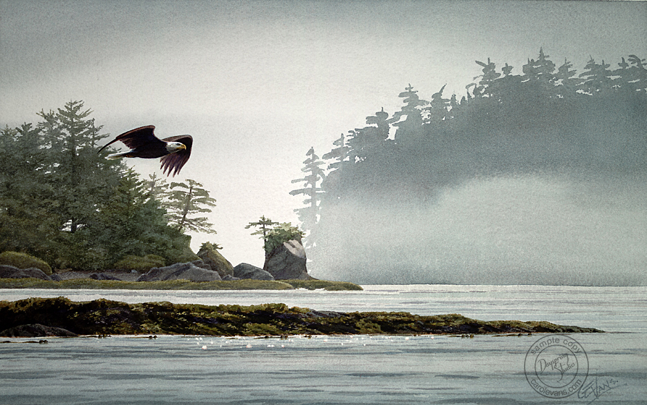 Eagle at Langara.png