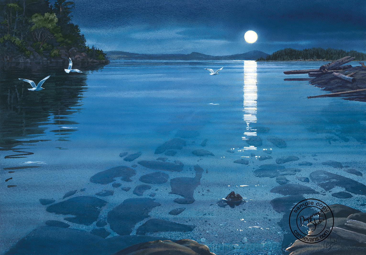 Moon Over Valdez.sample.png