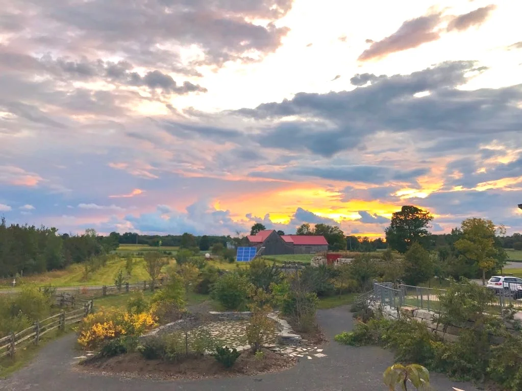 sunset-1.jpg