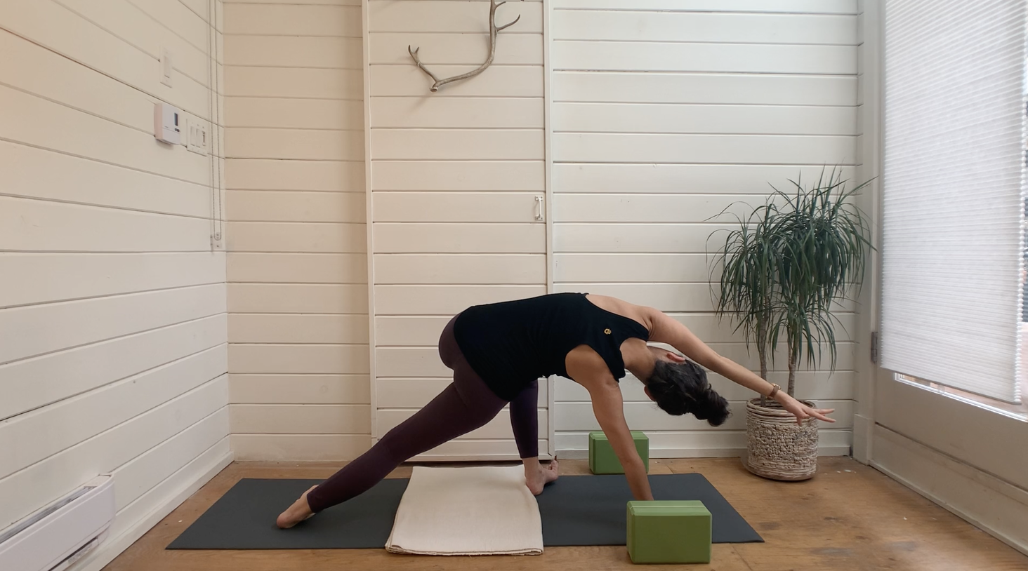Corkscrew Dogs, Side Planks &amp; Straddles