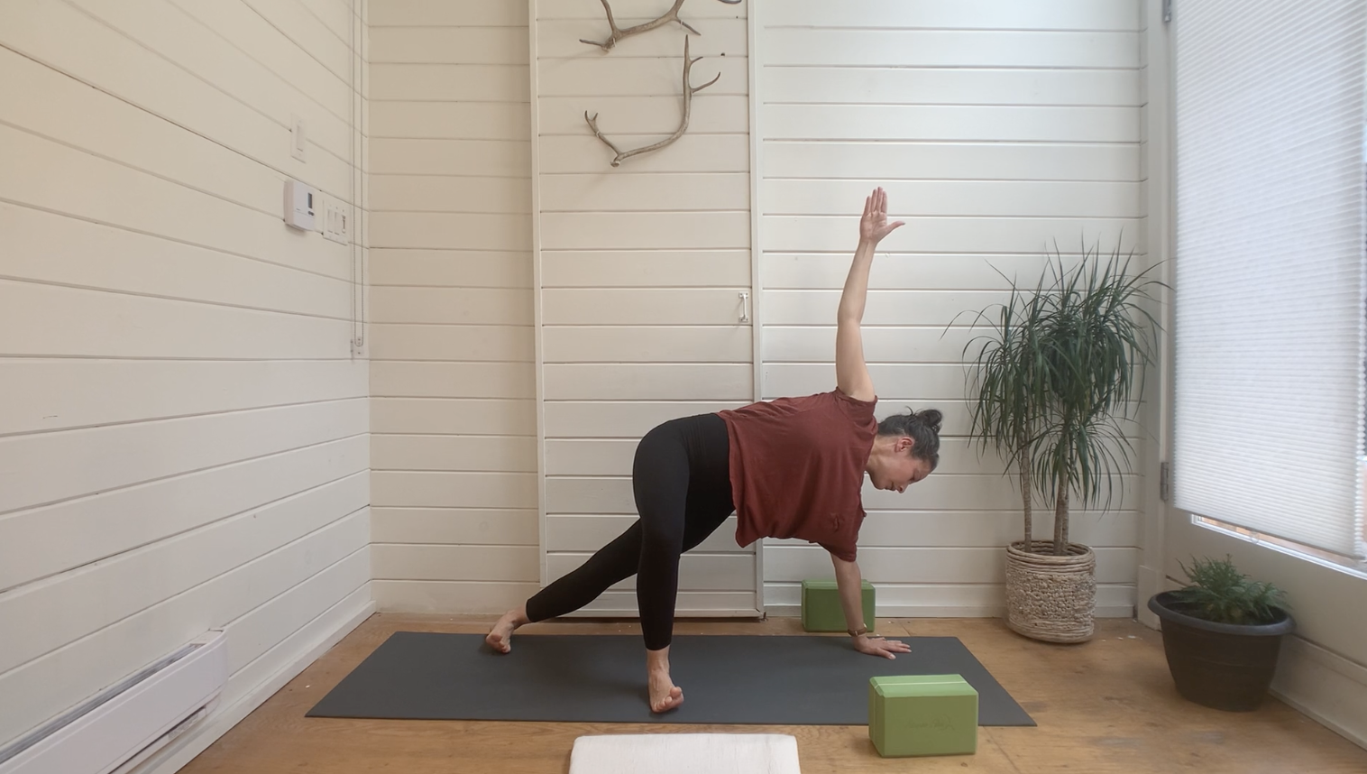 Forearm Strength for Side Planks Mini Vini