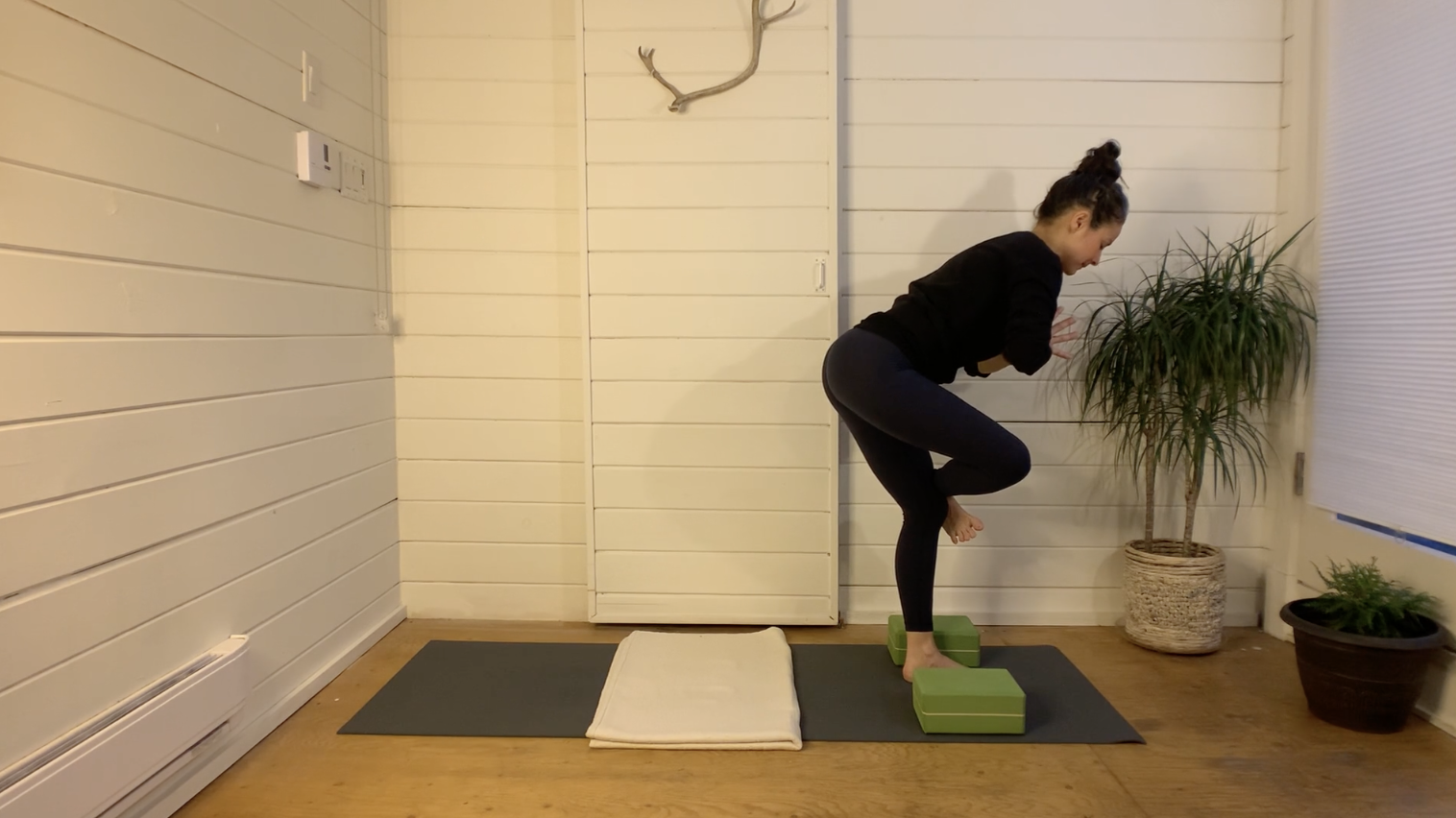 Deep Core, Balance &amp; Pigeon