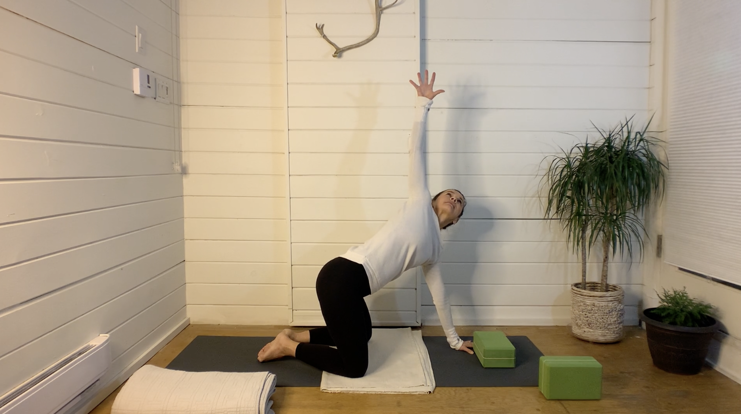 Gentle Lower Back