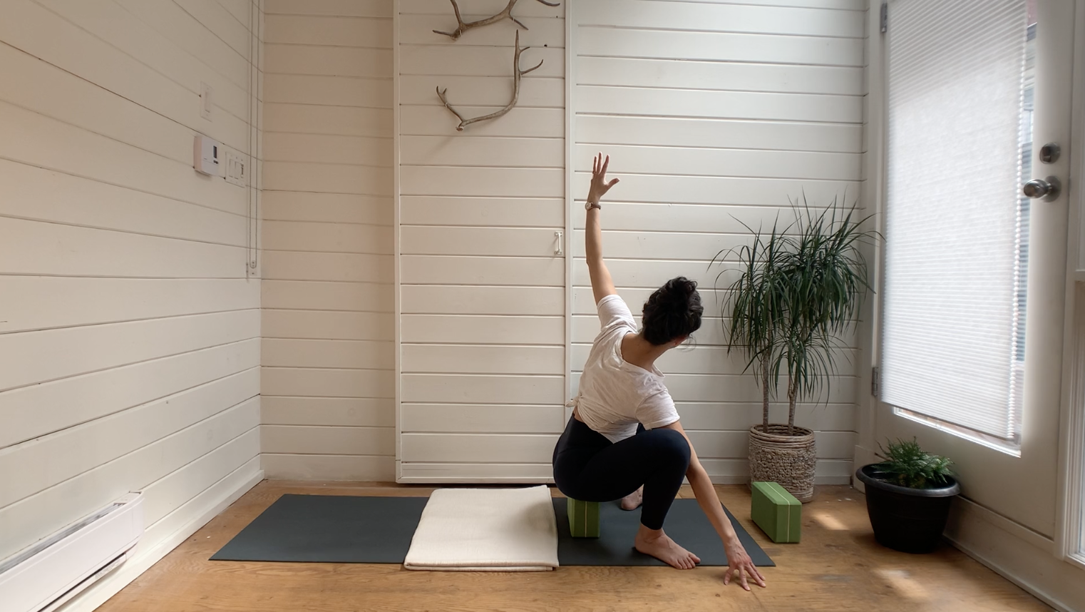Spacious Spine &amp; Thoracic Twisting Mini Vini