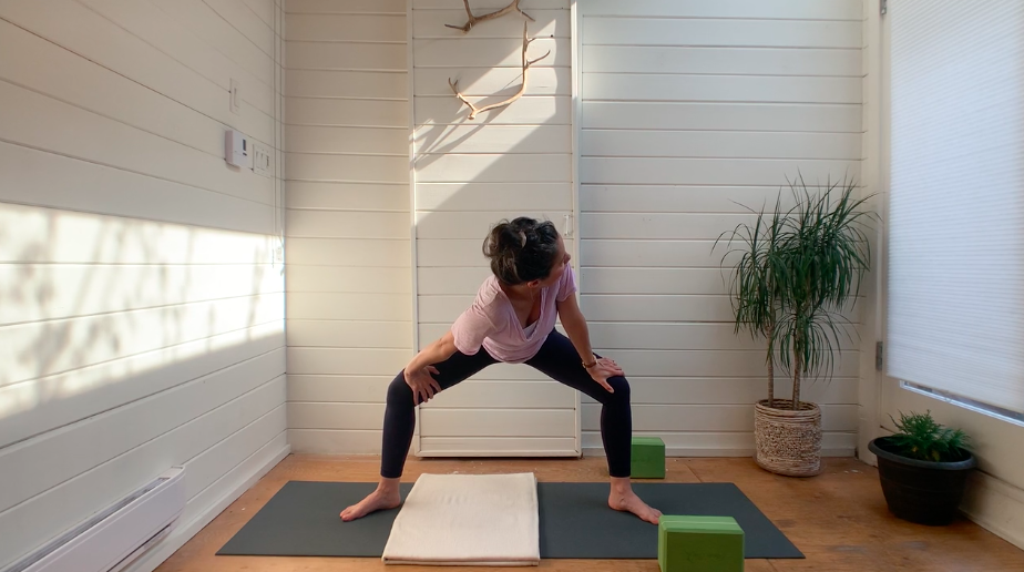 Pre Natal Vinyasa - Wide Lunges &amp; Malasana