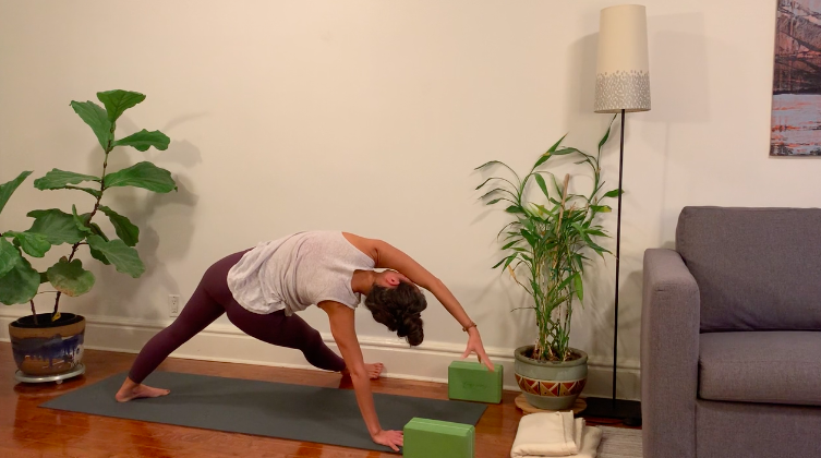 Crossing Midline &amp; Plank Variations