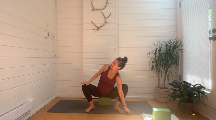 Hip Mobility &amp; Malasana Mini Vini