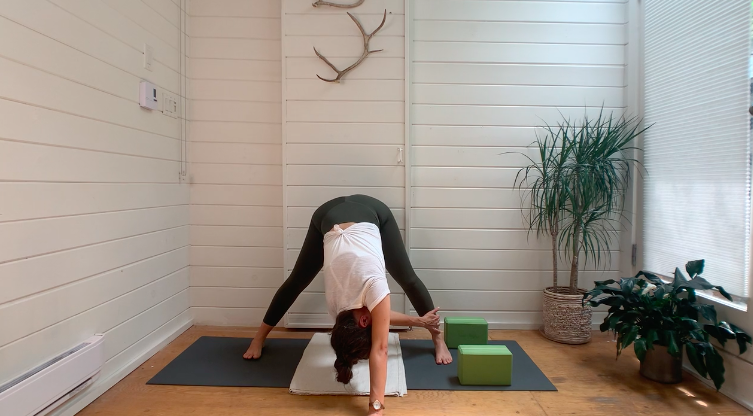 Straight Up Hips and Hamstrings Mini Vini