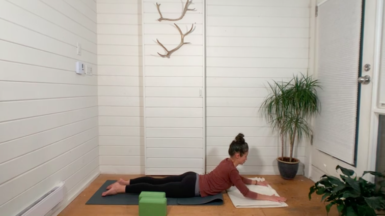 Shoulder Medicine Mini Vini
