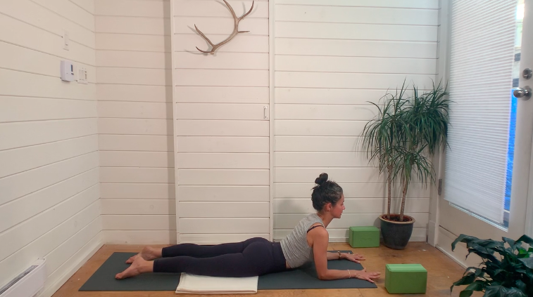 Forearm Stand Prep Mini Vini