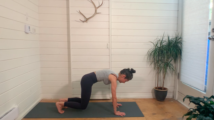 Postnatal Ab Rehab Part 2