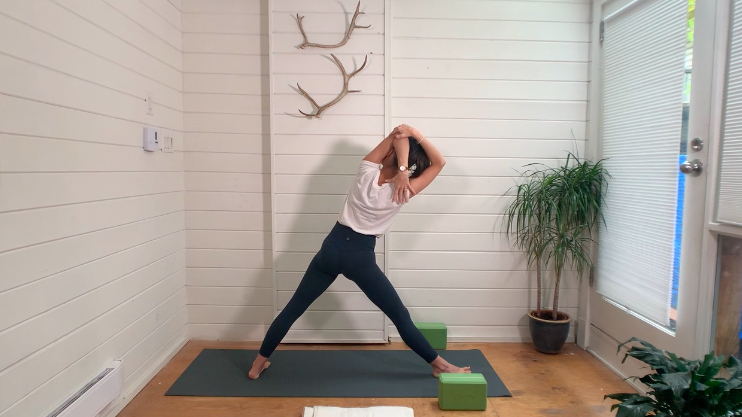 Shoulder Rotations for Gomukasana Mini Vini