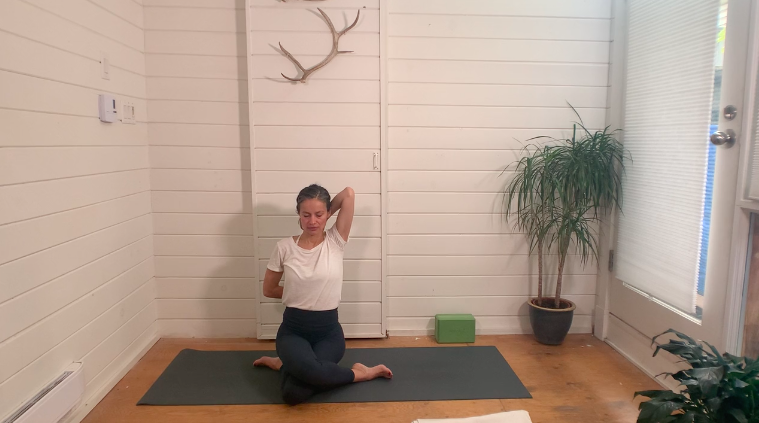Shoulder Rotations for Gomukasana