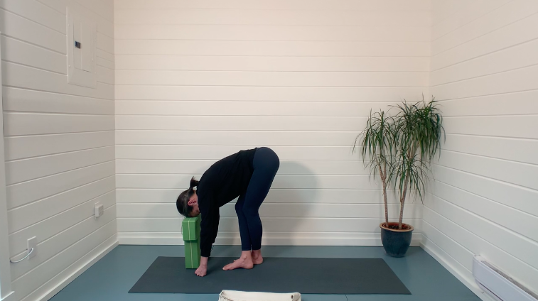 Yin Yoga - Back Line