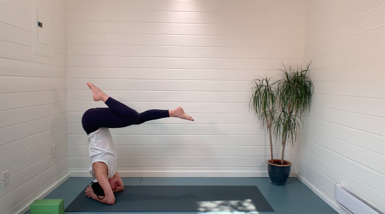 Shoulders, Hammies, Headstand and Backbends Mini Vini