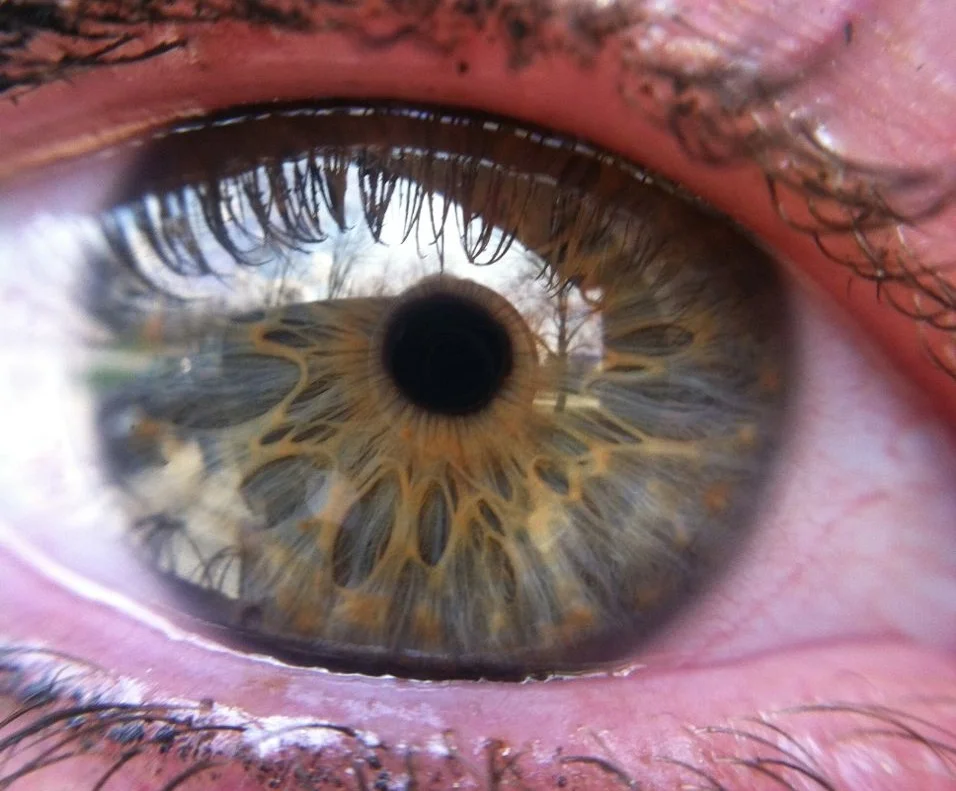 This is the eye of my lovely friend Emily. Stunning.