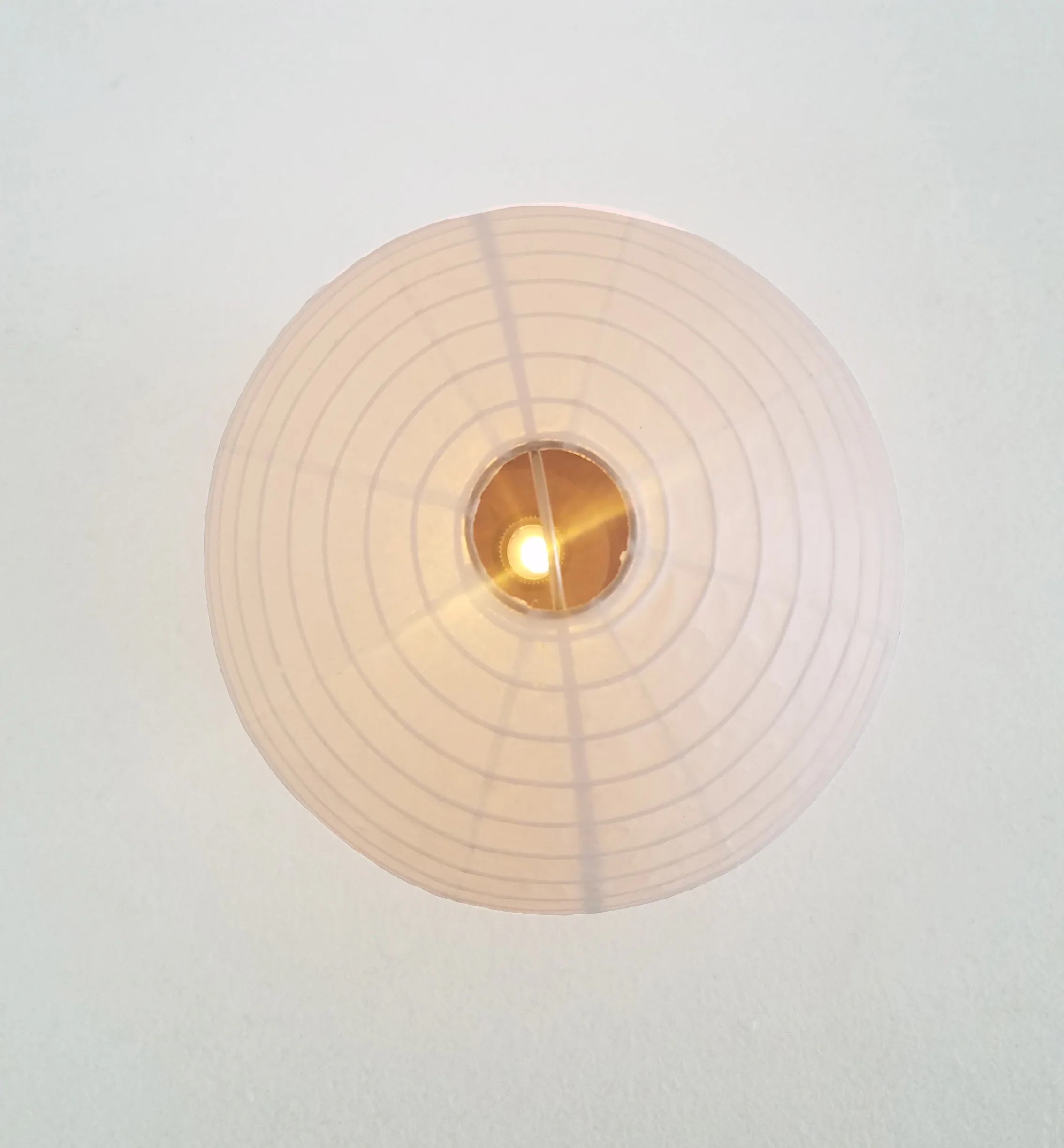 light top.jpg