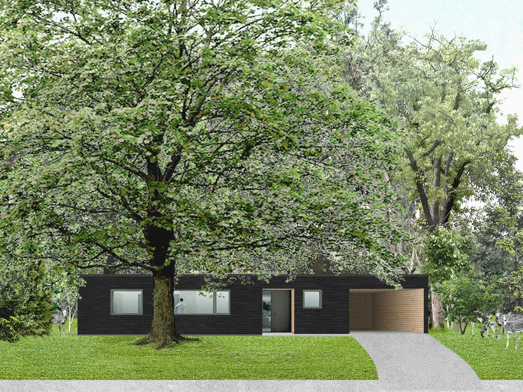 190303_PAYNE EXTERIOR RENDER.jpg