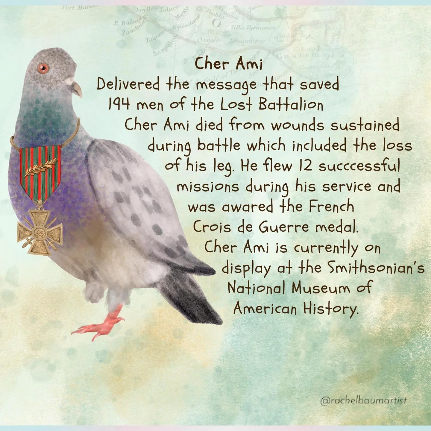 Cher Ami: Responsible for delivering the message that saved 194 men of the Lost Battalion during WWI.⁣
⁣
⁣
⁣
⁣
⁣
⁣
⁣
⁣
⁣
#animaldrawing #history #warhistory #amazinganimals #funfacts #fastfacts #animalfacts #digitalillustration #birdart #birdfacts #p