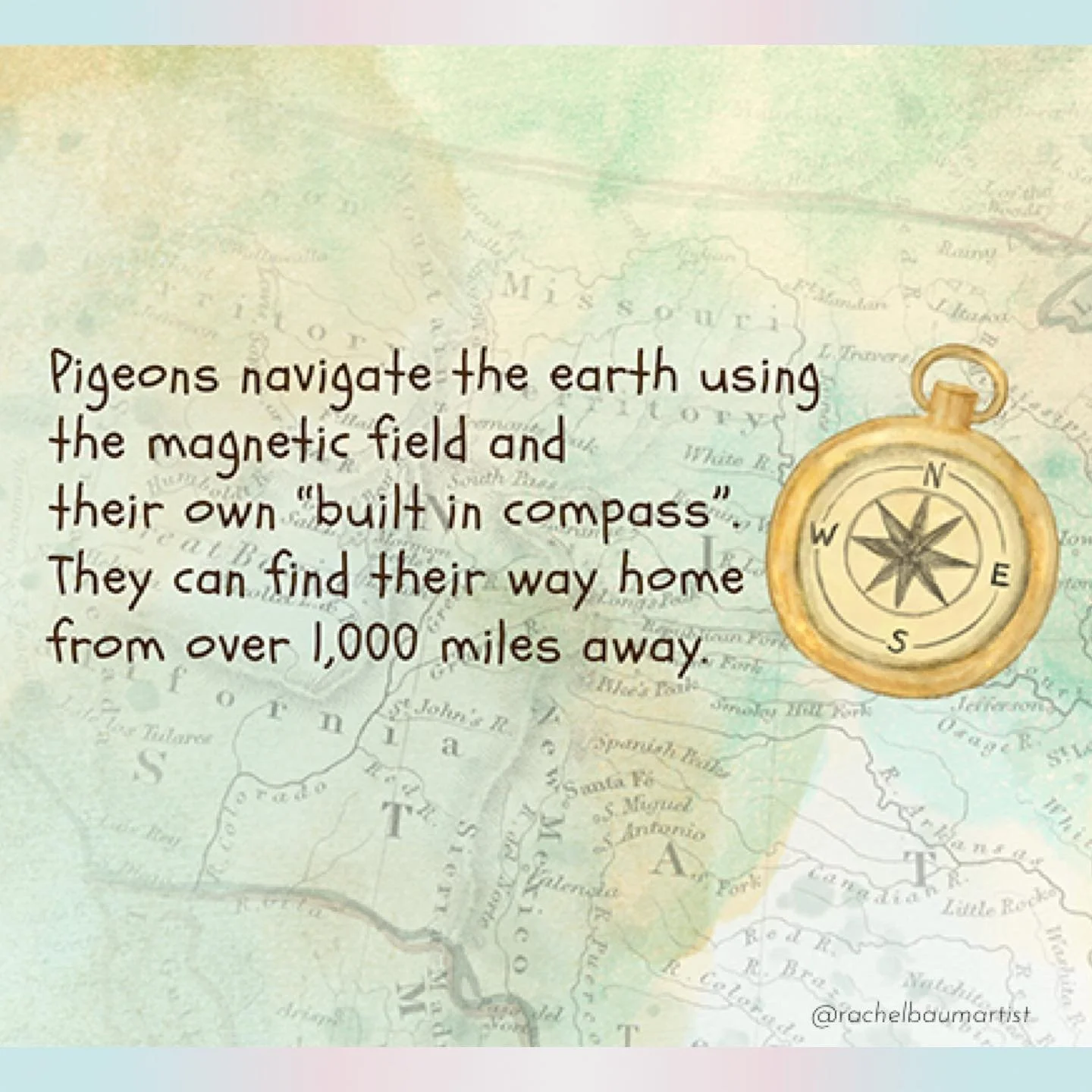 Pigeon navigation 🧭 🐦 🌎 ⁣
⁣
⁣
⁣
⁣
⁣
⁣
⁣
#navigation #pigeon #artsketchbook #artjournal #fieldguide #infographic #multimedia #naturelovers #compass #originalart #inspiration #inspirational #natureislit #digitalpainting #rachelbaumartist #journey #t