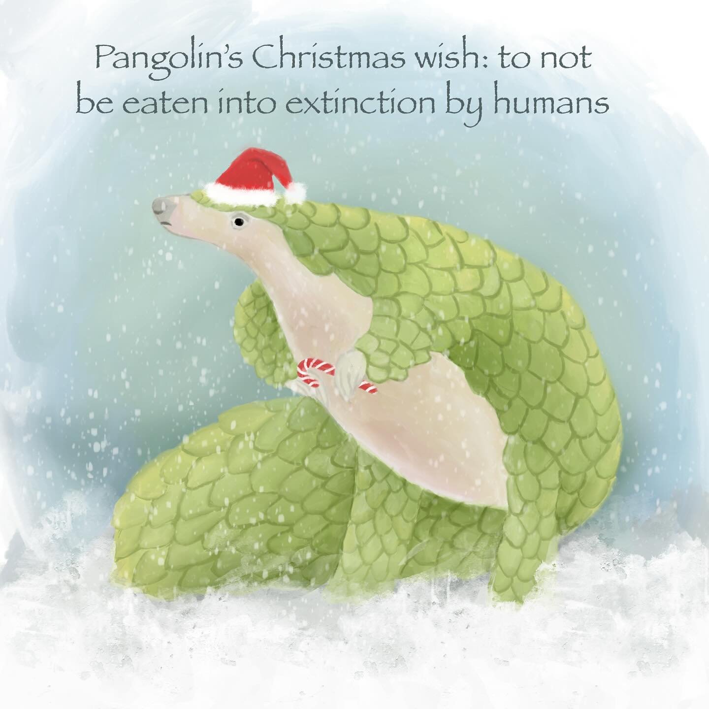 Christmas 2024.⁣
⁣
⁣
⁣
#pangolins #endangeredspecies #endangered #christmasillustration #christmasart #illustration #art #digitalart #procreate #procreateillustration #animalillustration #animalart #pangolinillustration #cuteart #cuteillustration #or