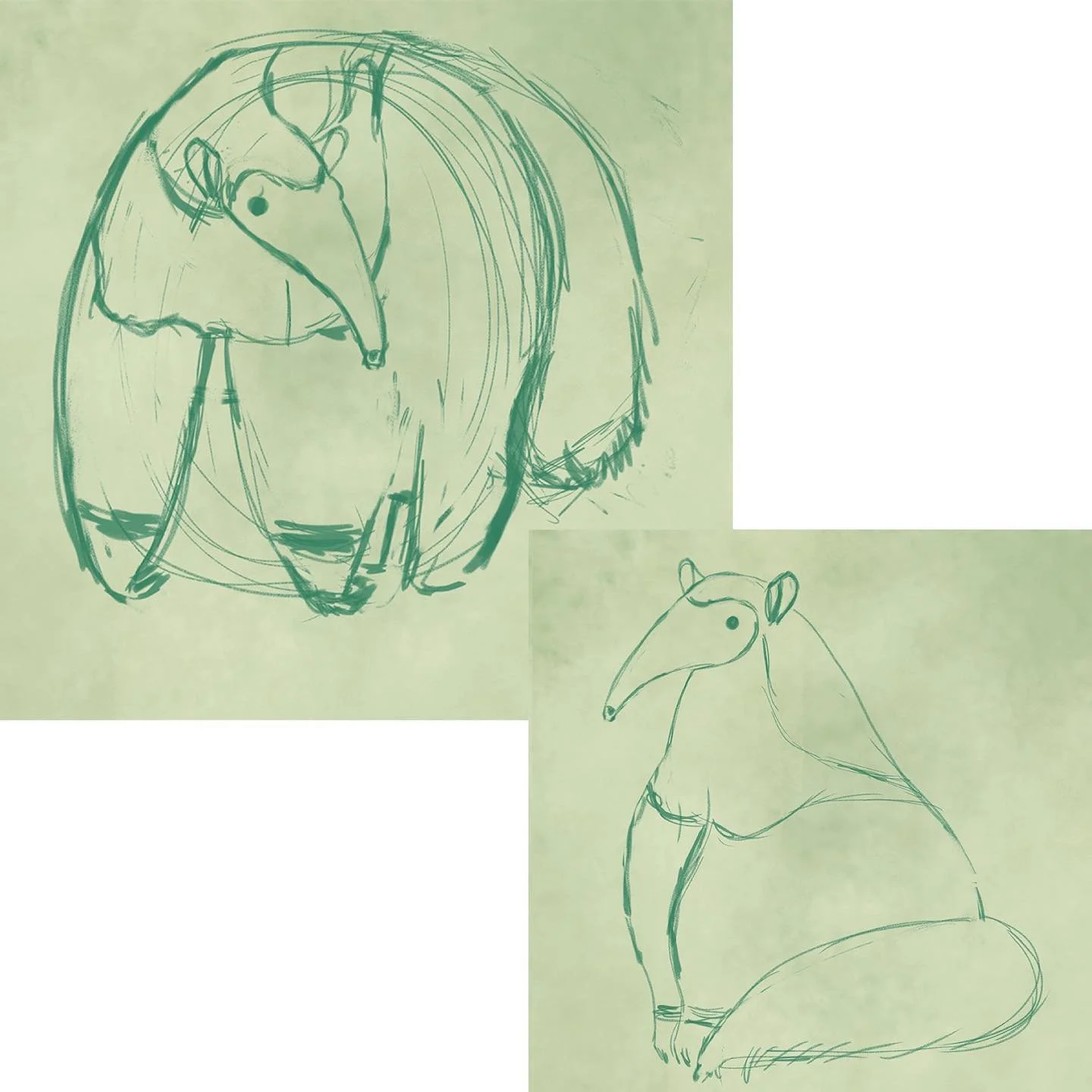 Anteater studies.⁣
⁣
⁣
⁣
⁣
⁣
⁣
⁣
⁣
#anteater #anteaterdrawing #anteaters #sketch #drawingstudy #studies #sketches #dailysketch #dailydrawing #wip #workinprogress #progress #naturerules #animalsketches #characterstudy #charactersketch #characterstudie