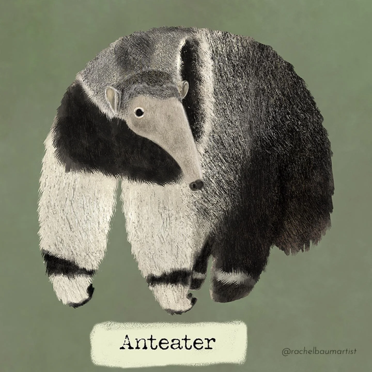 🐜 eater⁣
⁣
⁣
⁣
⁣
⁣
⁣
⁣
#anteater #cuteillustration #cutewildanimals #wildanimals #protectanimals #cutedrawing #cuteart #animalart #anteaterillustration #rachelbaum #fyp #dailyillustration #dailyart #mood #cute #folkart #naturelovers #digitalpainting