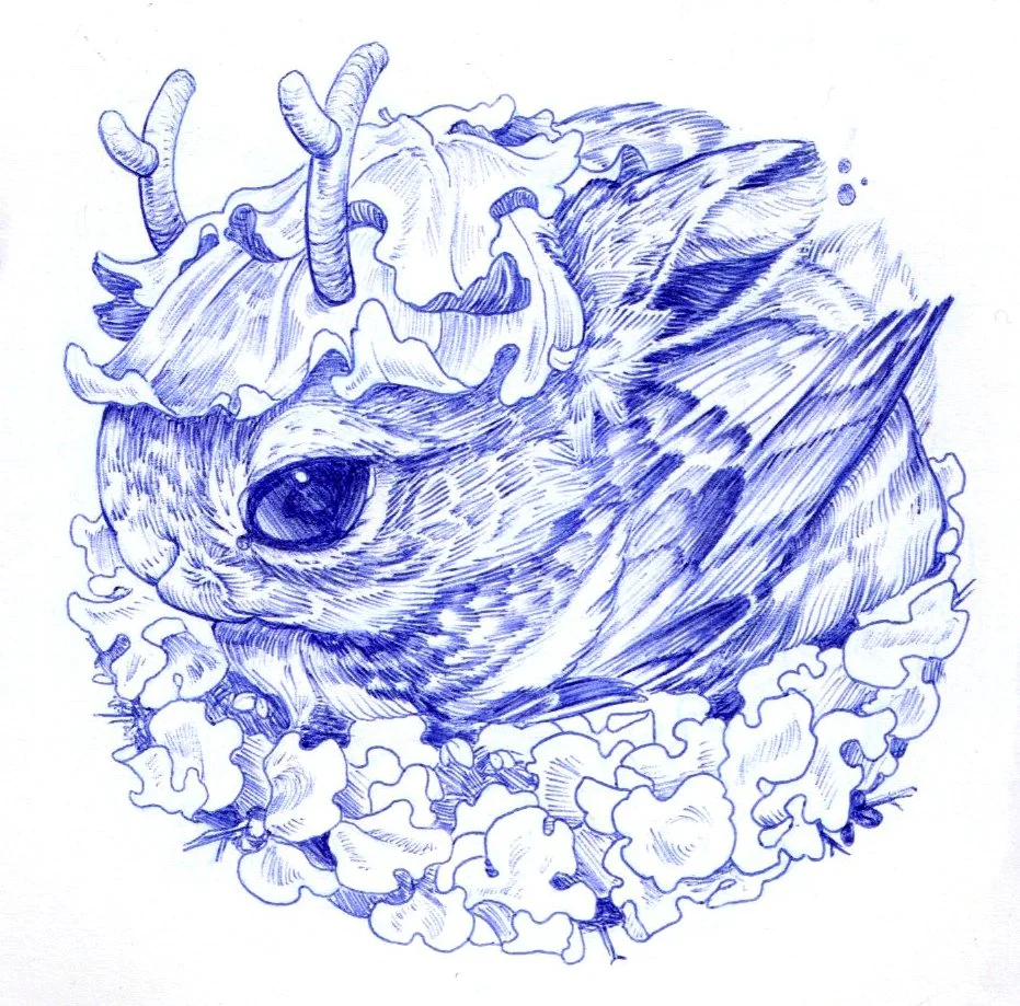 Blue ink drawing of a small bird sitting on a bed of lettuce with some leaves growing from its head.