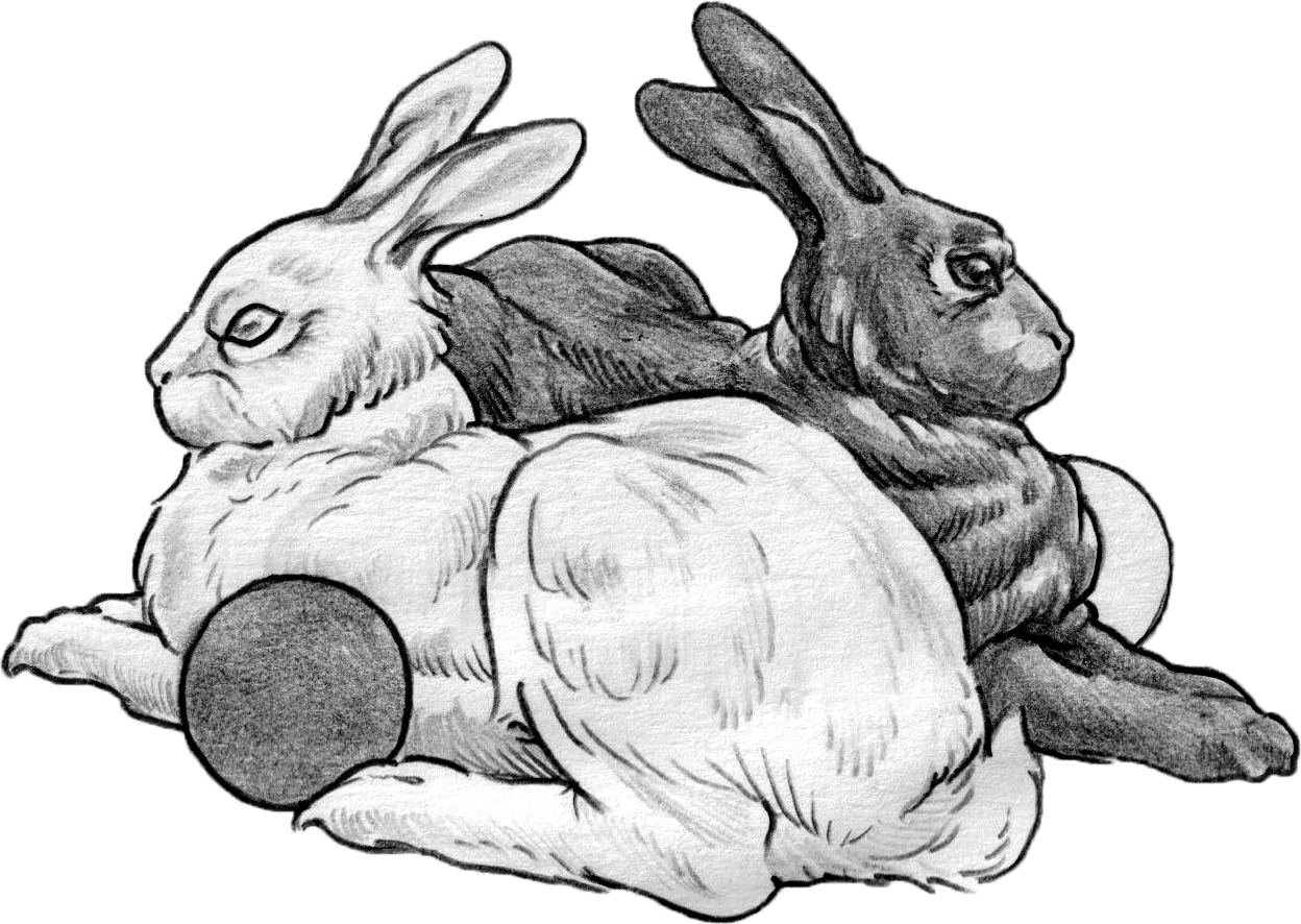 Black and white illustration of two rabbits, one with a white head and large ears, the other with a darker body and shorter ears, sitting back-to-back.