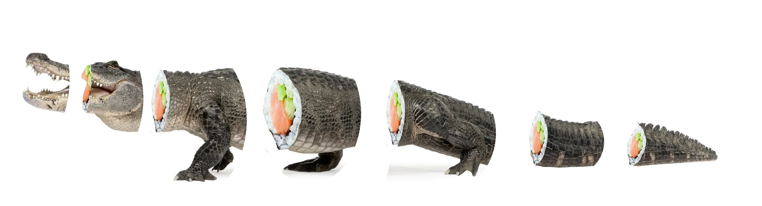 A composite image of an alligator with its body cut into eight sections, each section replaced with a sushi roll containing salmon, avocado, and rice.