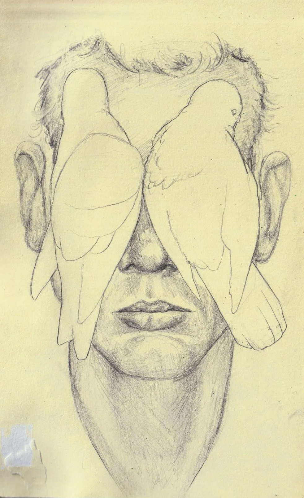 A pencil sketch of a woman's face with two birds covering her eyes.