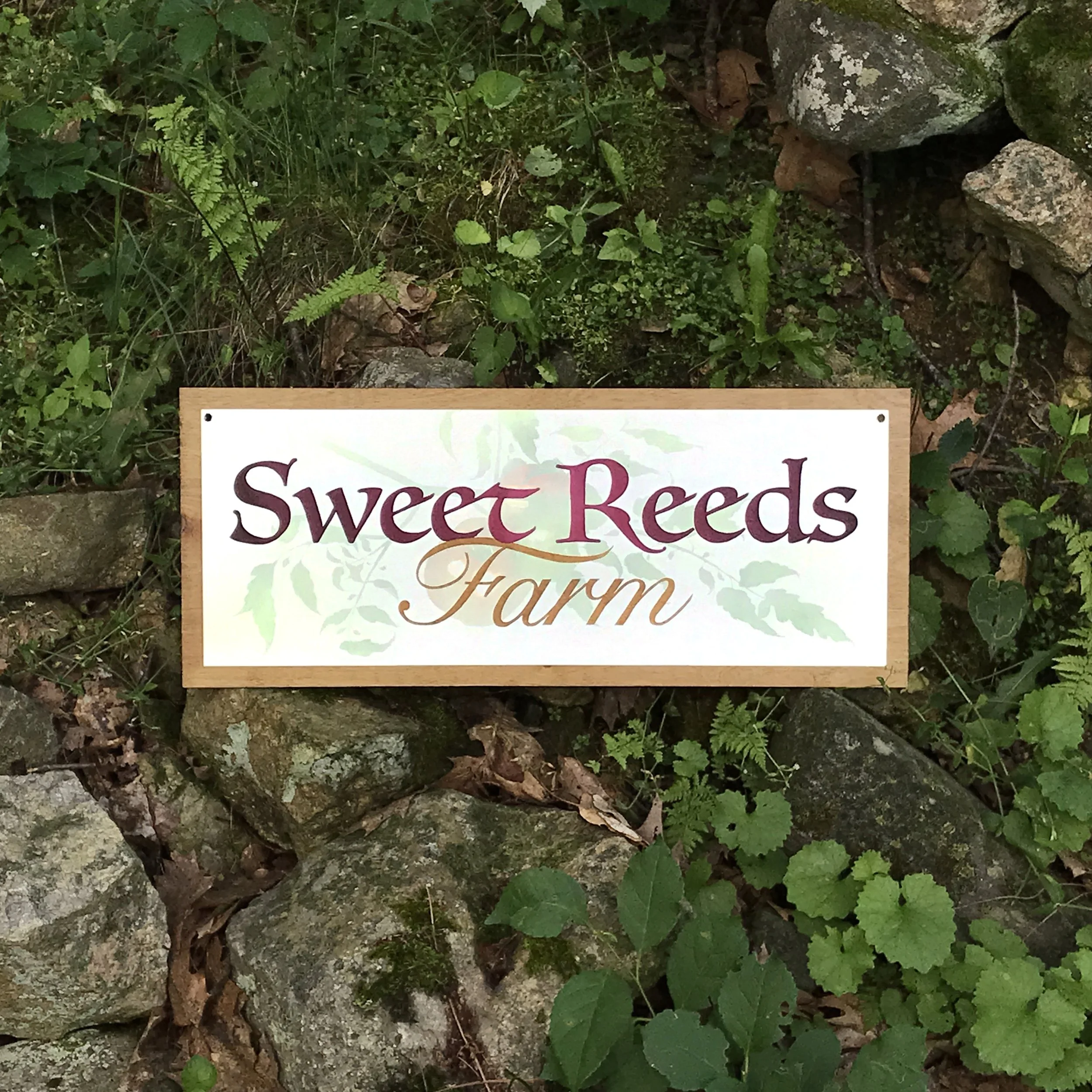 Sweet Reeds Farm