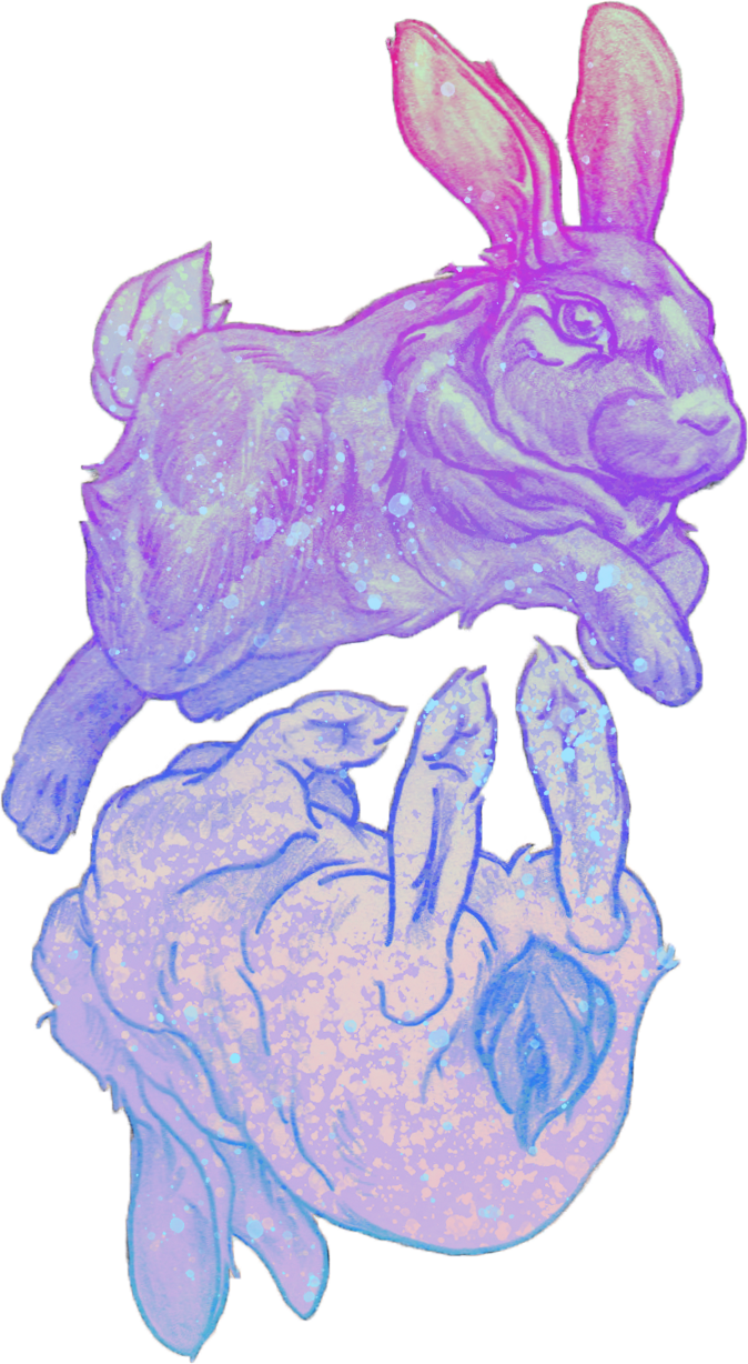A watercolor illustration of a rabbit resting on a large, anatomical heart, both depicted in shades of purple and pink with a starry effect.