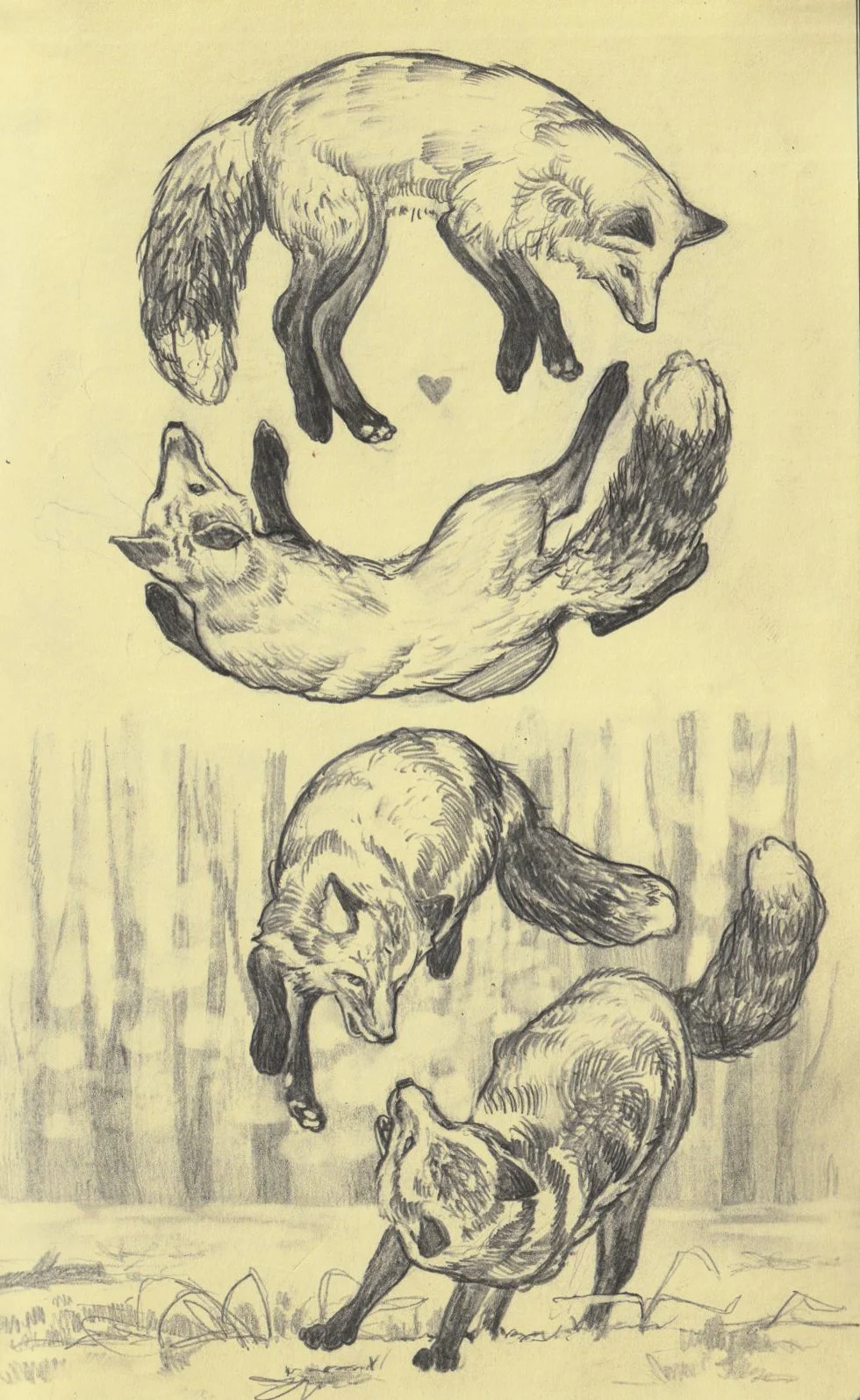 Drawing of four wolves in various poses, arranged in a spiral pattern with a small heart in the center, on a textured background.