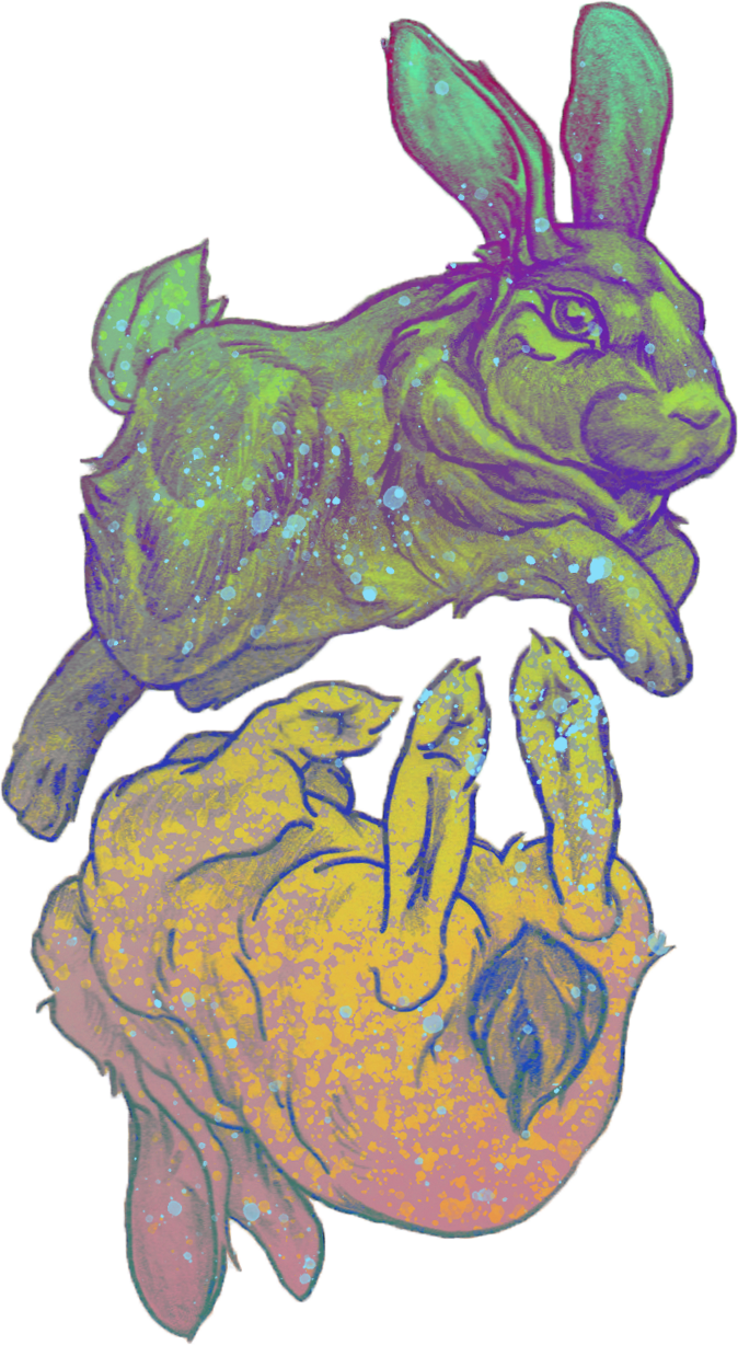 A colorful, artistic illustration of a rabbit with exaggerated features and vibrant splashes of color, sitting atop a large pumpkin with a cartoonish style.