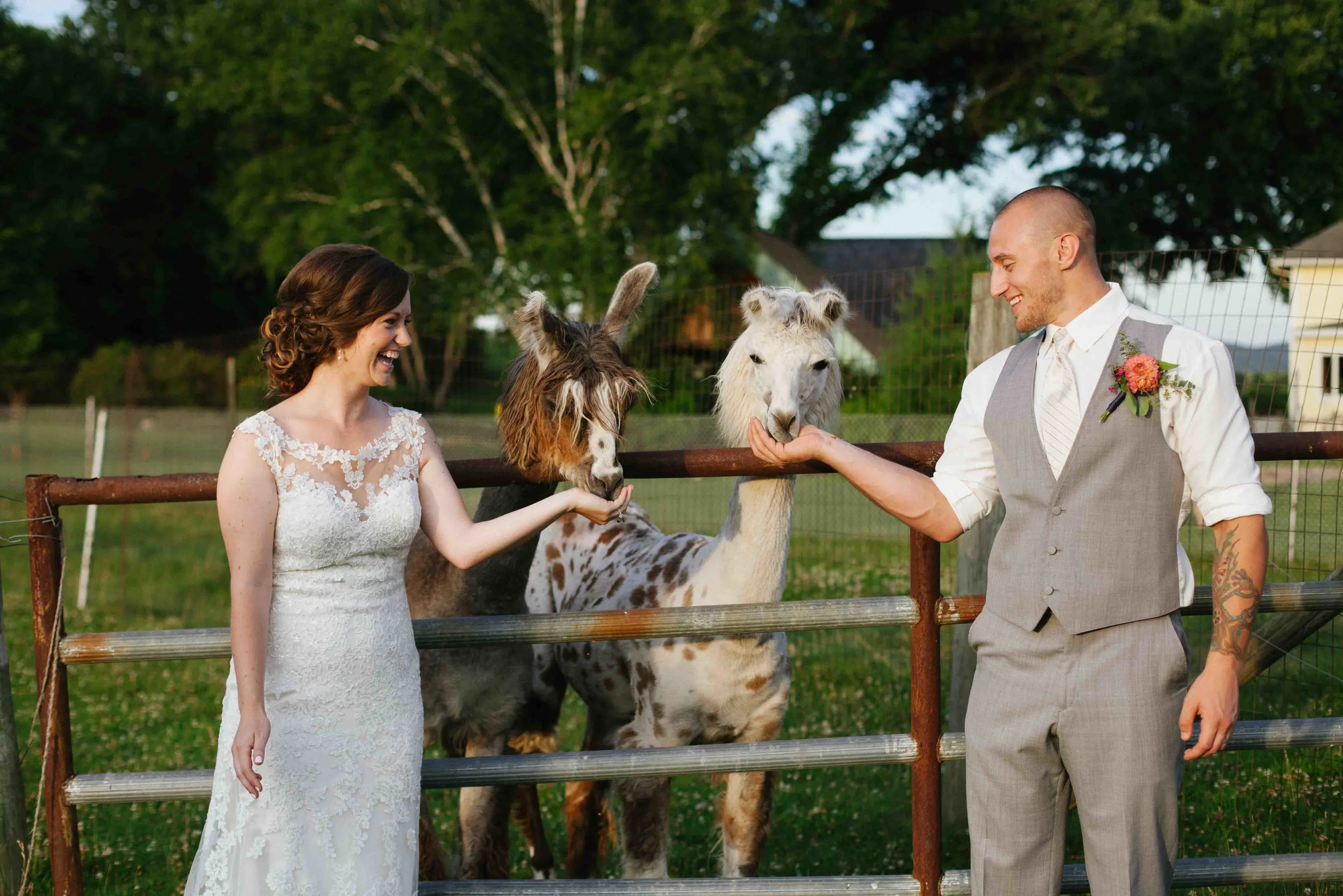 wisconsin barn wedding justin trails resort sparta wi wedding photographer