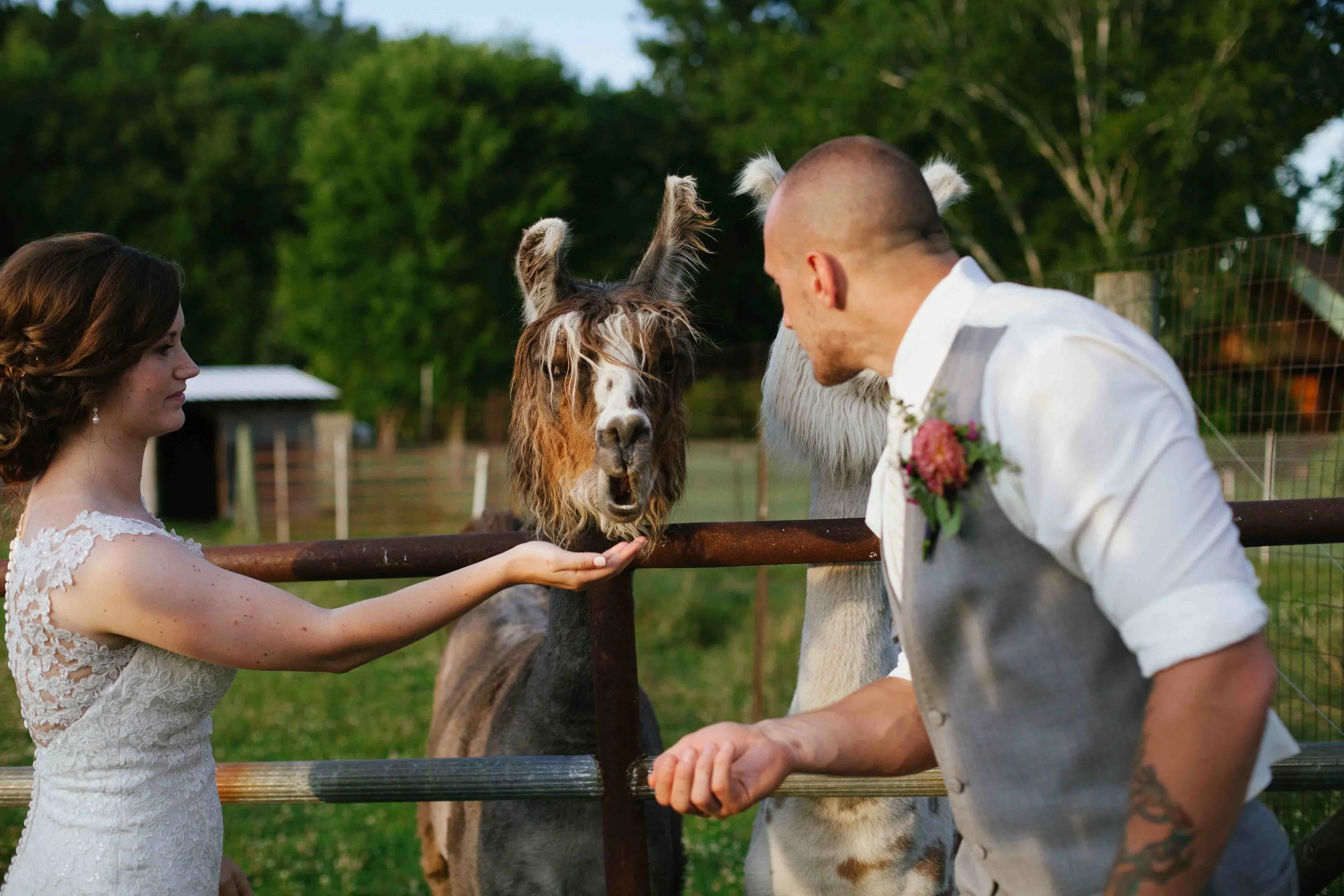 wisconsin barn wedding justin trails resort sparta wi wedding photographer