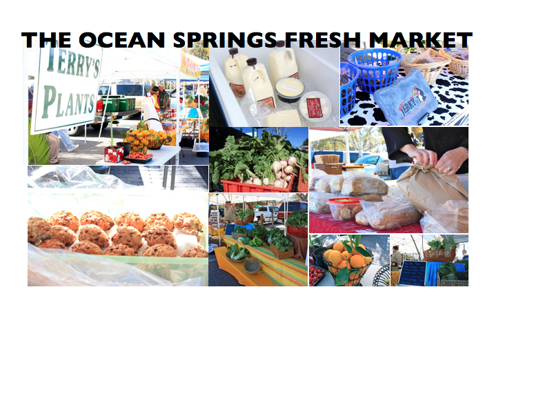 Don't miss the Saturday Fresh Market 9:00 - 2:00