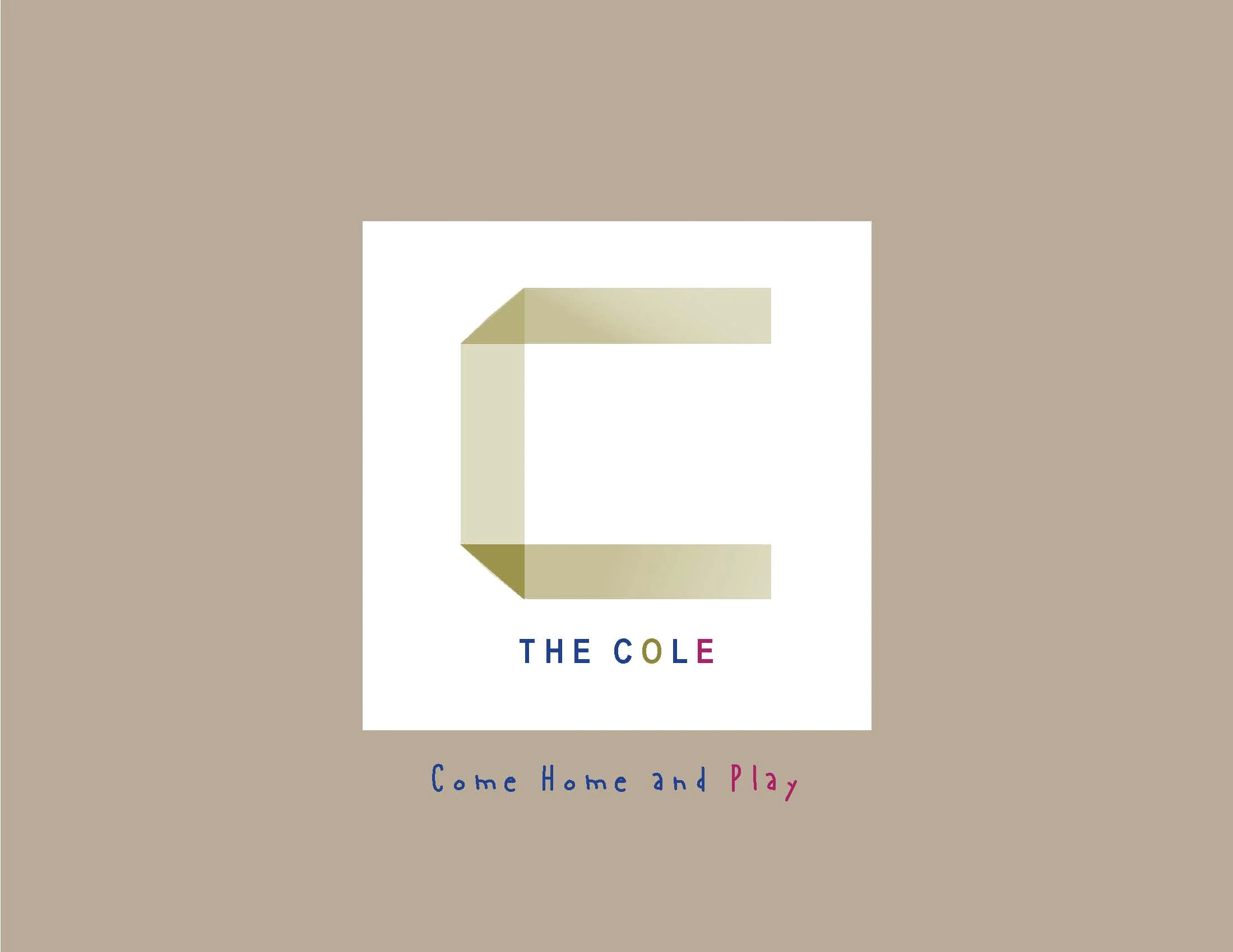 THE COLE_PRESENTATION_2-11-14_Page_03.jpg