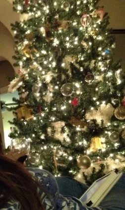 If Christmas trees took selfies