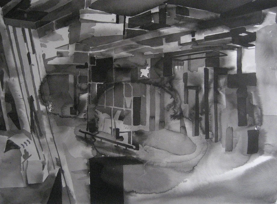 Ducts 1 2010 Ink on Paper 56 x 76 cm
