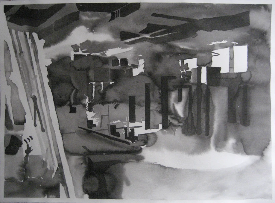 Ducts 2 2010 Ink on Paper 56 x 76 cm