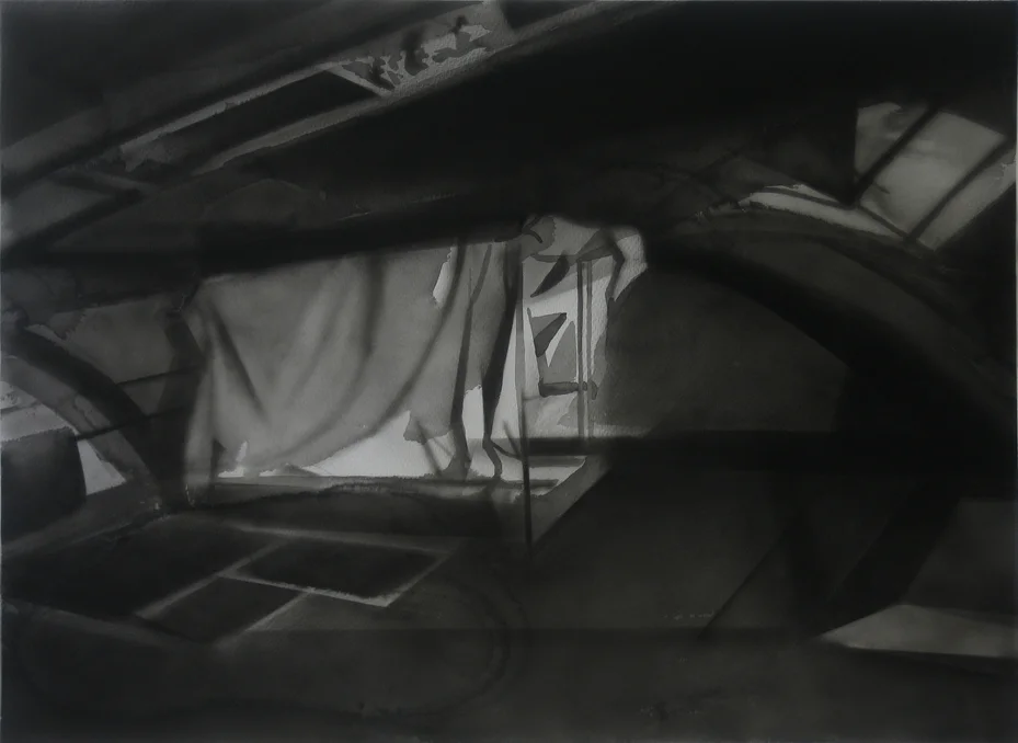 Ceiling 2 2010 Ink on Paper 56 x 76 cm