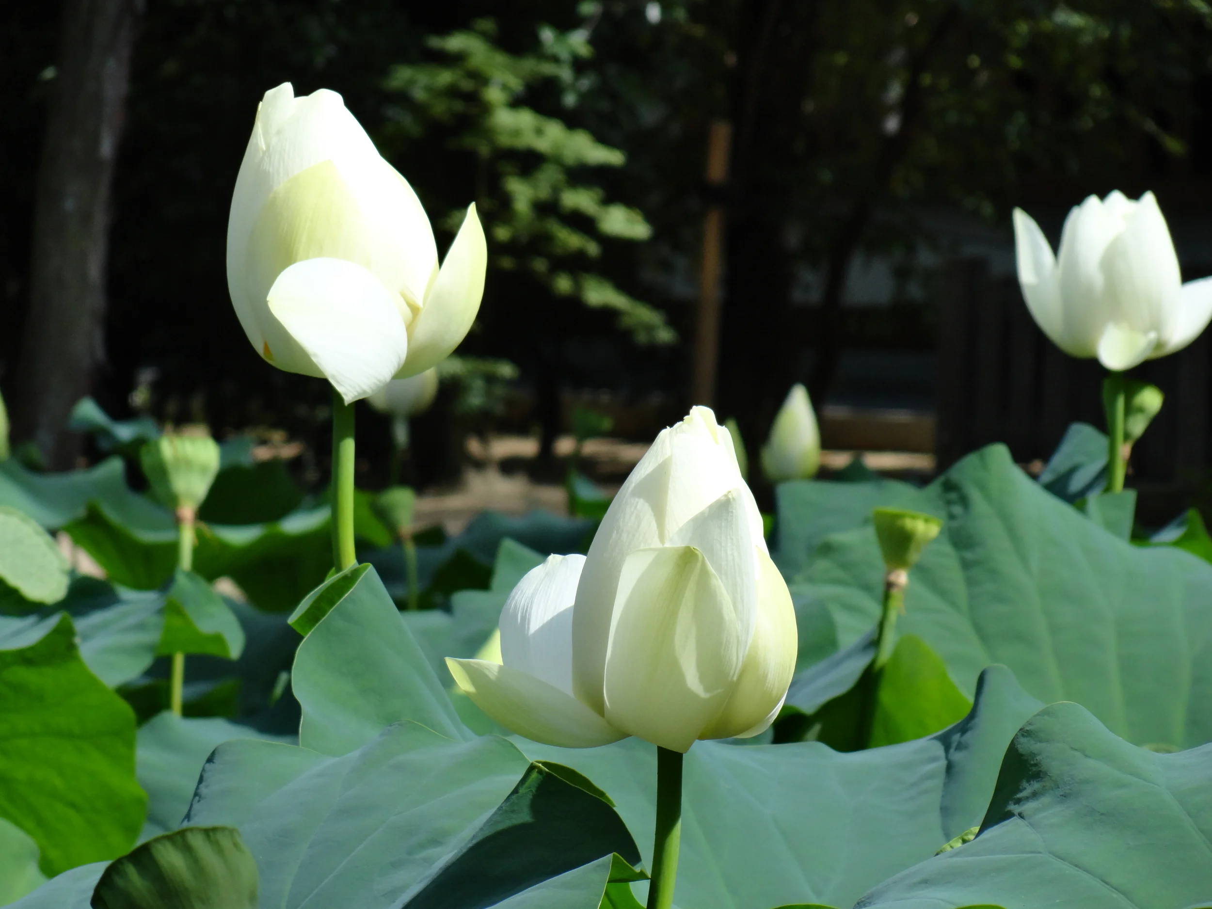 2011-08-07 01.34.37.jpg