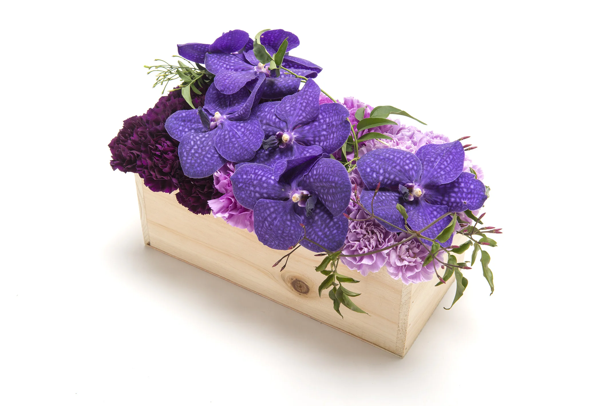 2014-03-06 Kawaji5085.jpg